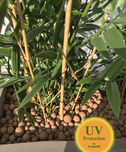 LeopoldFlora Kunststof  Bamboe plant 90 cm UV