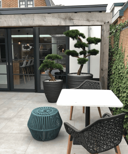 LeopoldFlora Kunststof Bonsai Pinus 80 cm UV