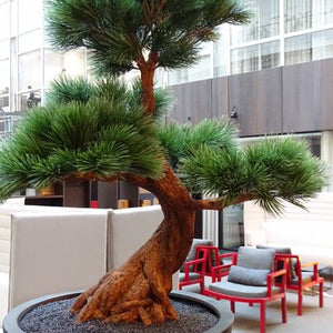 LeopoldFlora Kunststof Bonsai Pinus 80 cm UV