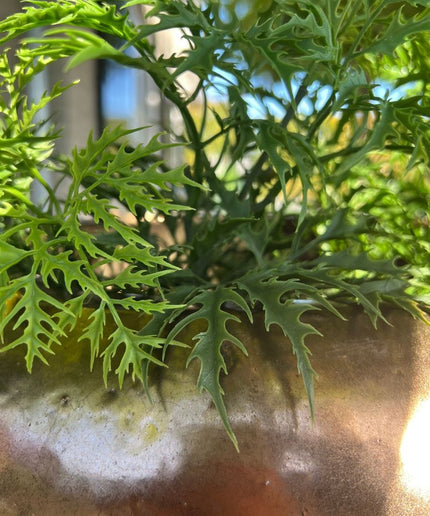 LeopoldFlora Kunststof Ming Aralia tak 50 cm UV