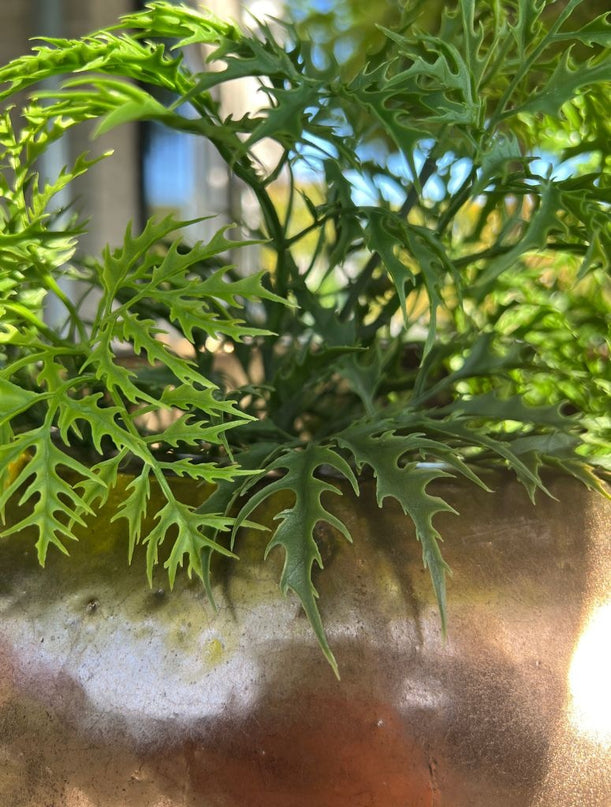 LeopoldFlora Kunststof Ming Aralia tak 50 cm UV