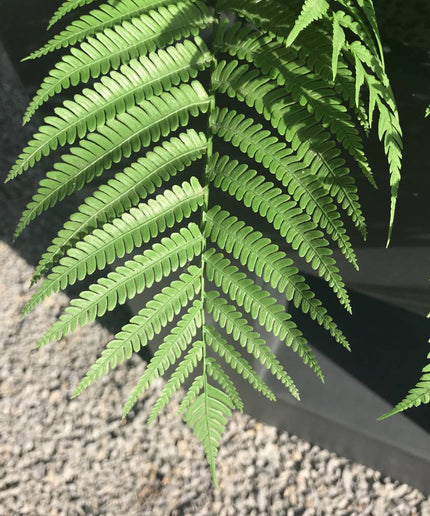 LeopoldFlora Kunststof Varen Boeket 75  UV