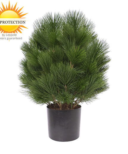 LeopoldFlora Kunststruik Pinus Den 60 cm UV