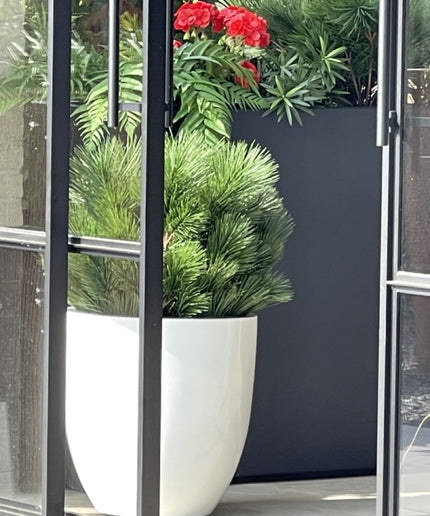 LeopoldFlora Kunststruik Pinus Den 60 cm UV