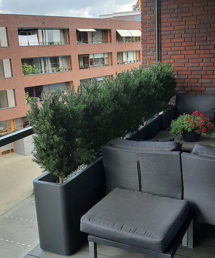 LeopoldFlora Kunststruik Taxus  90 cm UV