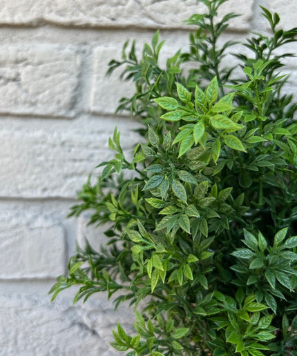 LeopoldFlora Kunststruikje  Eucalyptus 30 UV