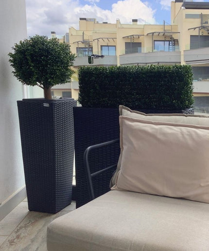 LeopoldFlora Lage kunst buxus heg 35x80 cm UV