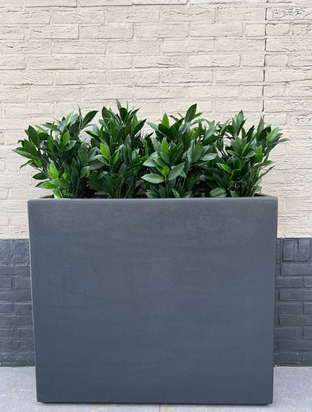 LeopoldFlora Laurier kunstplant 50cm UV