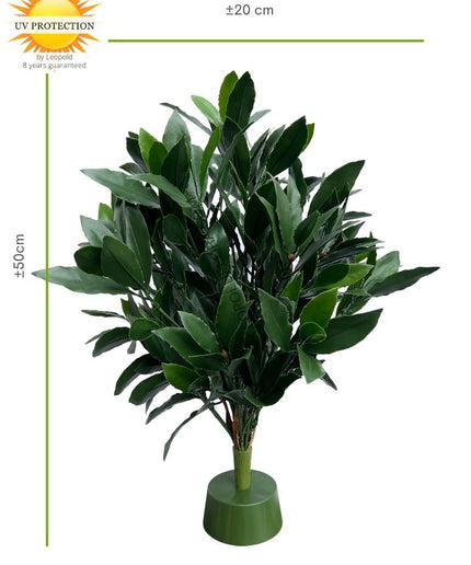 LeopoldFlora Laurier kunstplant 50cm UV