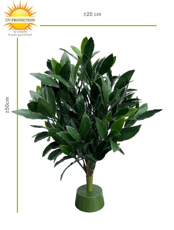 LeopoldFlora Laurier kunstplant 50cm UV
