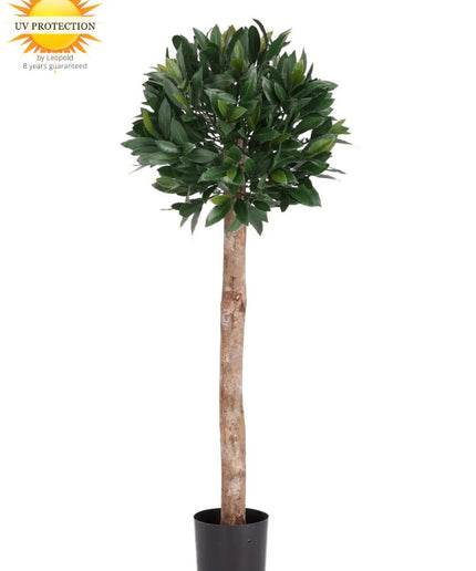 LeopoldFlora Laurier kunstplant op stam 120cm UV