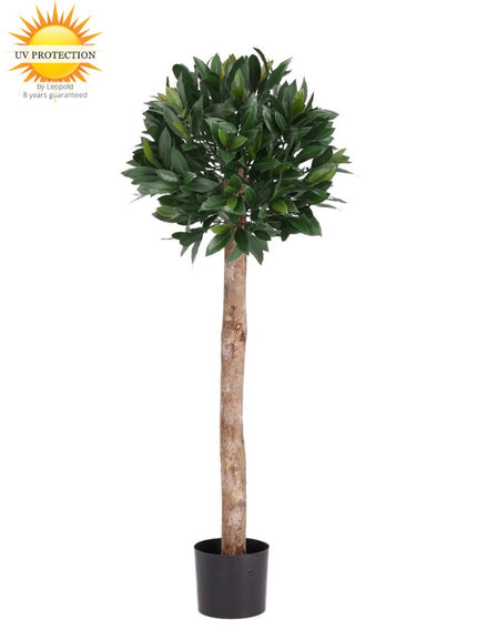 LeopoldFlora Laurier kunstplant op stam 120cm UV