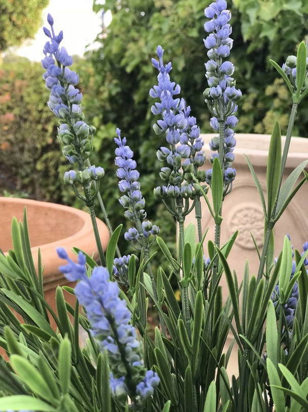 LeopoldFlora Lavendel kunstbloem blauw 50 cm UV