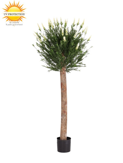 LeopoldFlora Lavendel kunstplant op stam wit 120cm UV