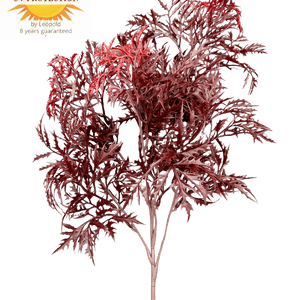 LeopoldFlora Ming Aralia burgundy tak 50cm UV