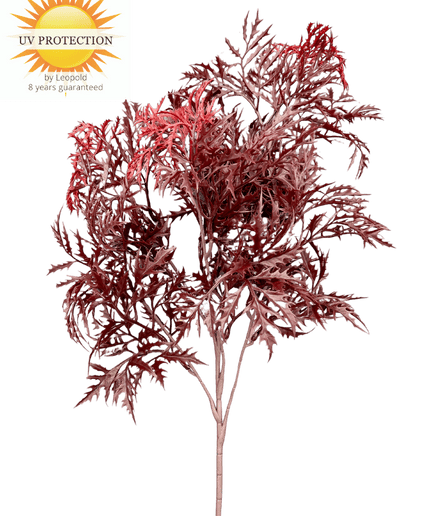LeopoldFlora Ming Aralia burgundy tak 50cm UV