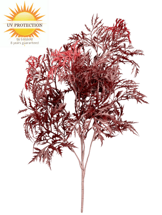 LeopoldFlora Ming Aralia burgundy tak 50cm UV