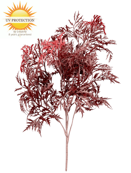 LeopoldFlora Ming Aralia burgundy tak 50cm UV