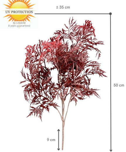 LeopoldFlora Ming Aralia burgundy tak 50cm UV