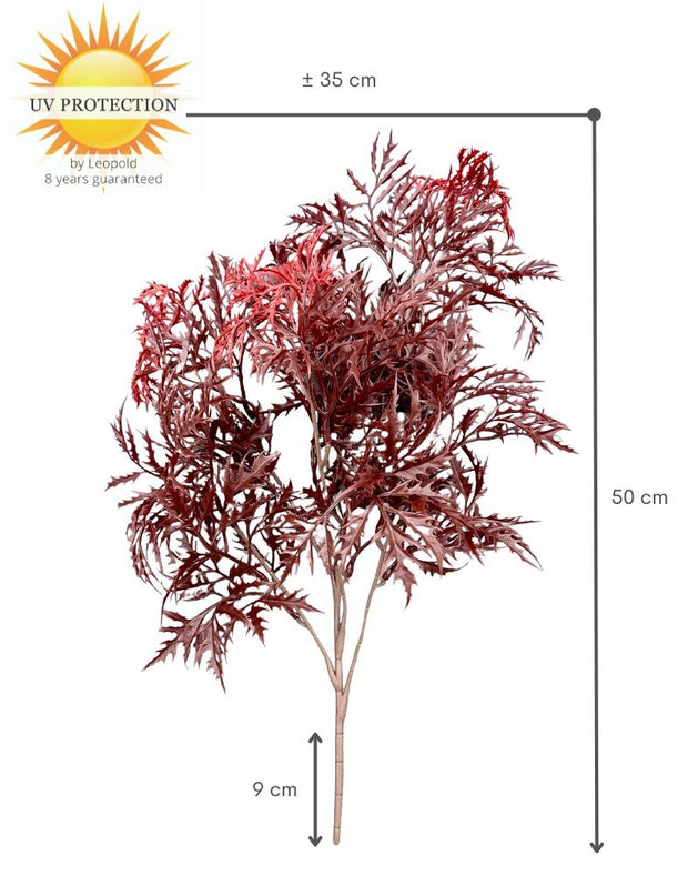 LeopoldFlora Ming Aralia burgundy tak 50cm UV