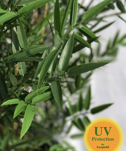 LeopoldFlora Namaak Bamboe 60 cm UV