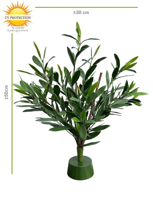 LeopoldFlora Olijf kunstplant  steker 50cm UV