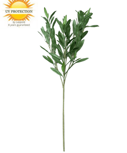 LeopoldFlora Olijf kunsttak 70cm UV