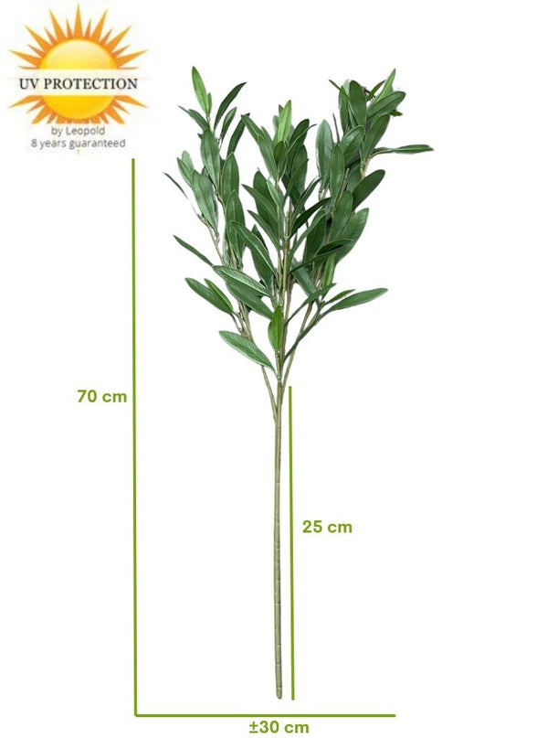 LeopoldFlora Olijf kunsttak 70cm UV