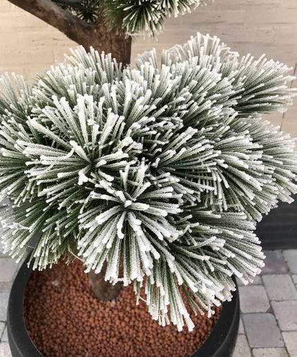 LeopoldFlora Pinus Bonsai kunstboom XL UV