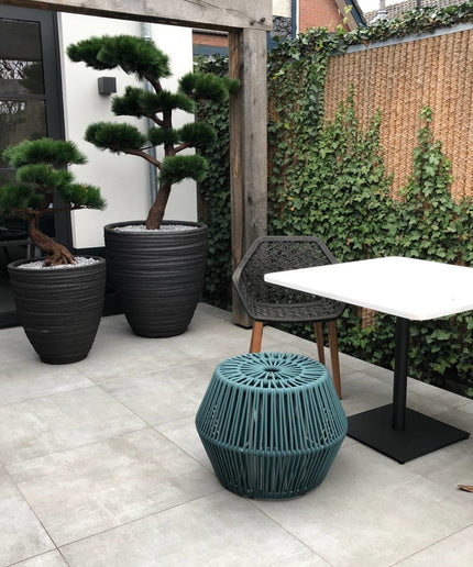 LeopoldFlora Pinus Bonsai kunstboom XL UV