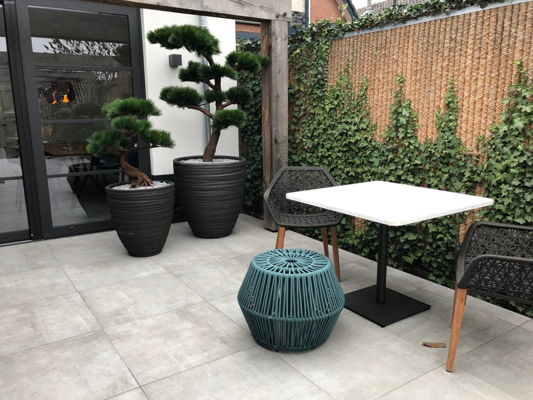 LeopoldFlora Pinus Bonsai kunstboom XL UV