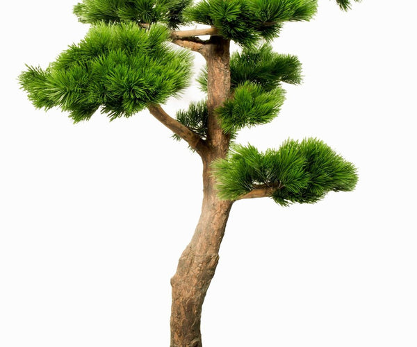 Looking for a large Artificial Bonsai?