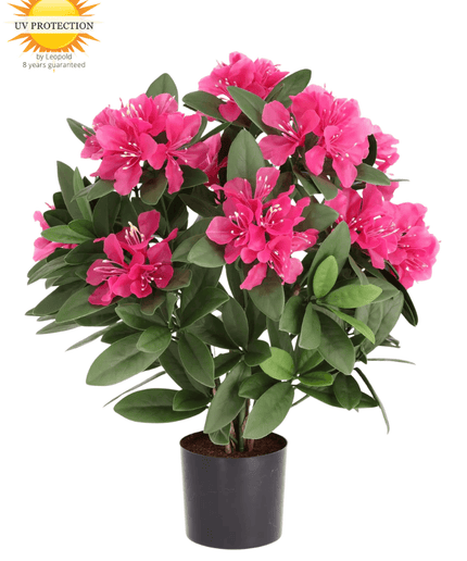 LeopoldFlora Rhododendron Kunstplant 55cm Roze UV