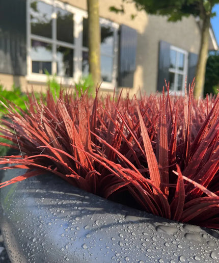 LeopoldFlora Rood kunstgras plantje UV 30 cm