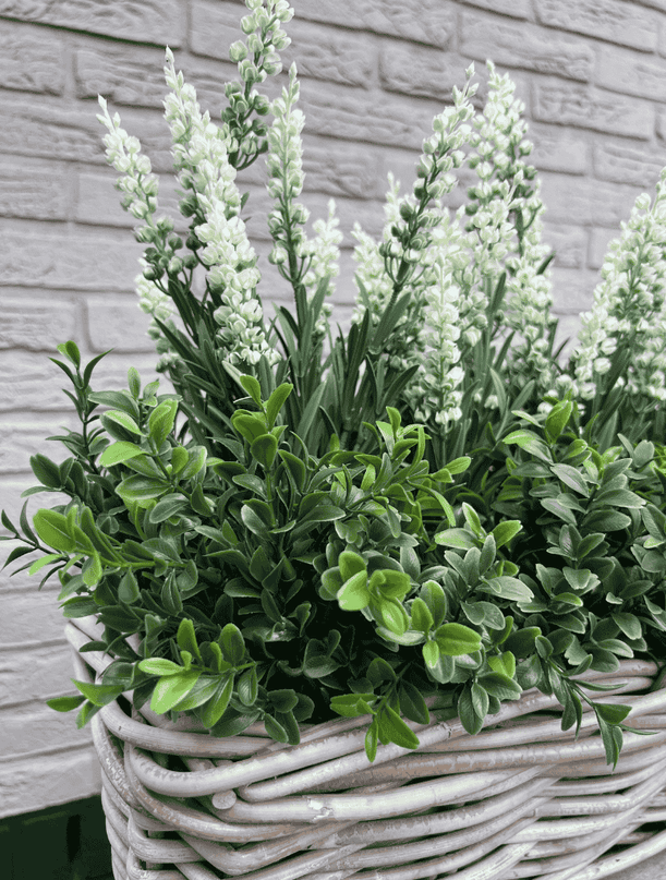 LeopoldFlora Rotan Hangmand incl UV Kunst Lavendel 30cm en Buxus
