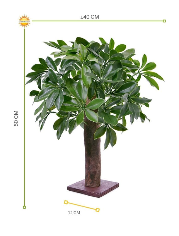 LeopoldFlora Schefflera kunstplant op ministam 50  UV