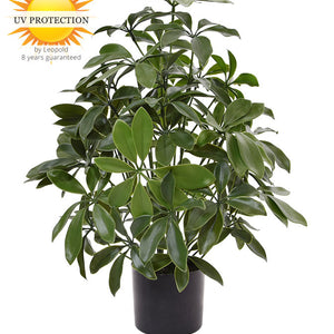 LeopoldFlora Tropische  kunstplant Schefflera 50 UV