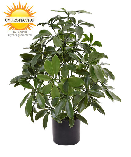 LeopoldFlora Tropische  kunstplant Schefflera 50 UV