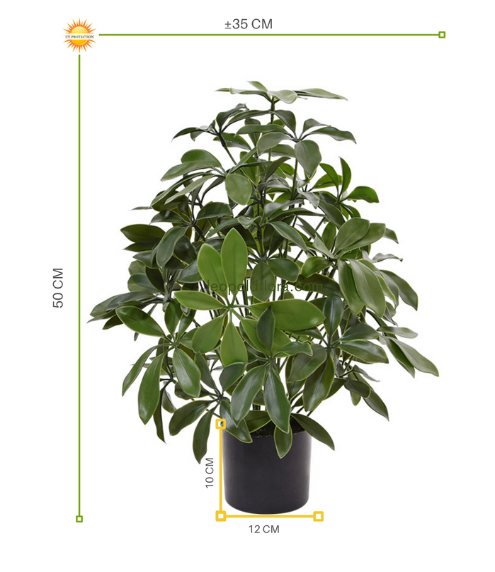 LeopoldFlora Tropische  kunstplant Schefflera 50 UV