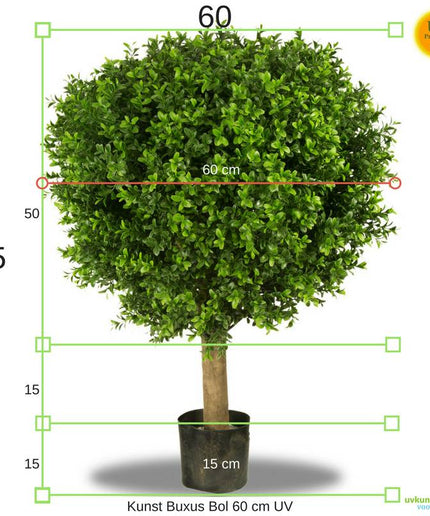 LeopoldFlora UV Buxus Bol 60