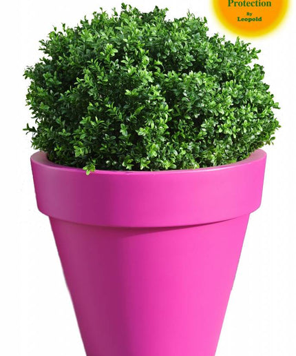 LeopoldFlora UV Buxus Bol 60