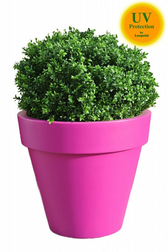 LeopoldFlora UV Buxus Bol 60