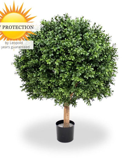 LeopoldFlora UV Buxus Bol 60