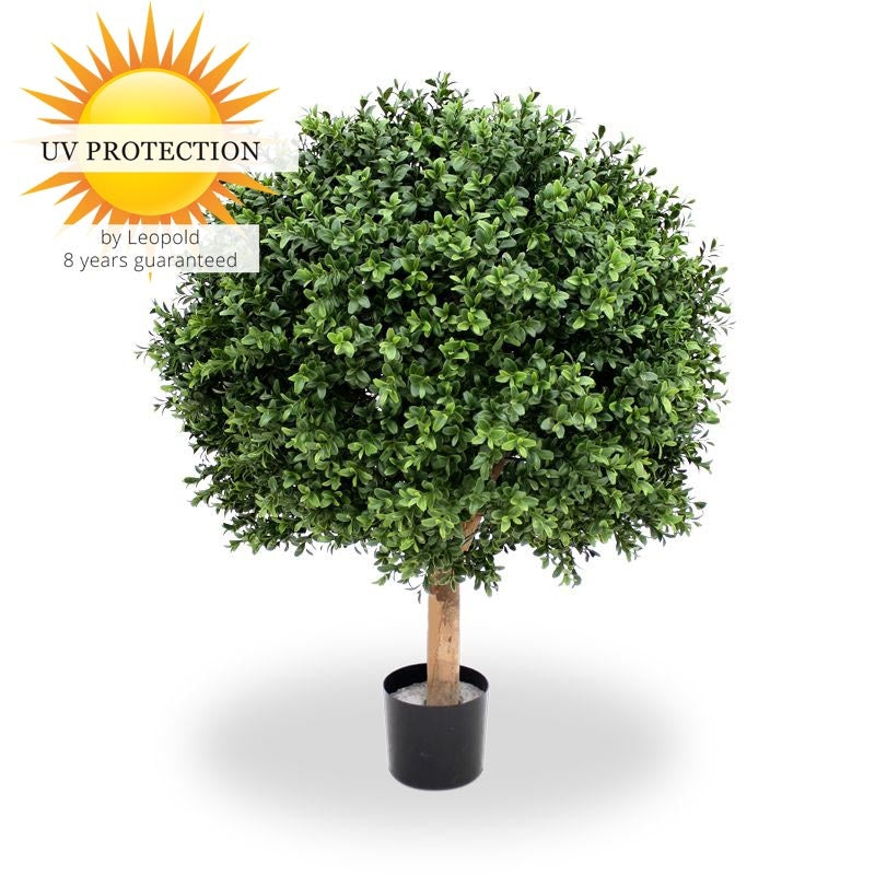 LeopoldFlora UV Buxus Bol 60