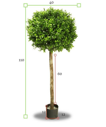 LeopoldFlora UV Buxus Bol op stam 110 cm