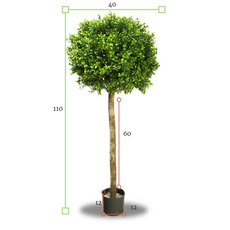 LeopoldFlora UV Buxus Bol op stam 110 cm