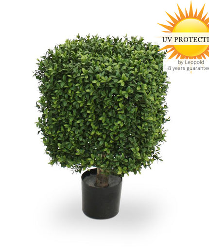 LeopoldFlora UV Buxus Kubus 30 cm