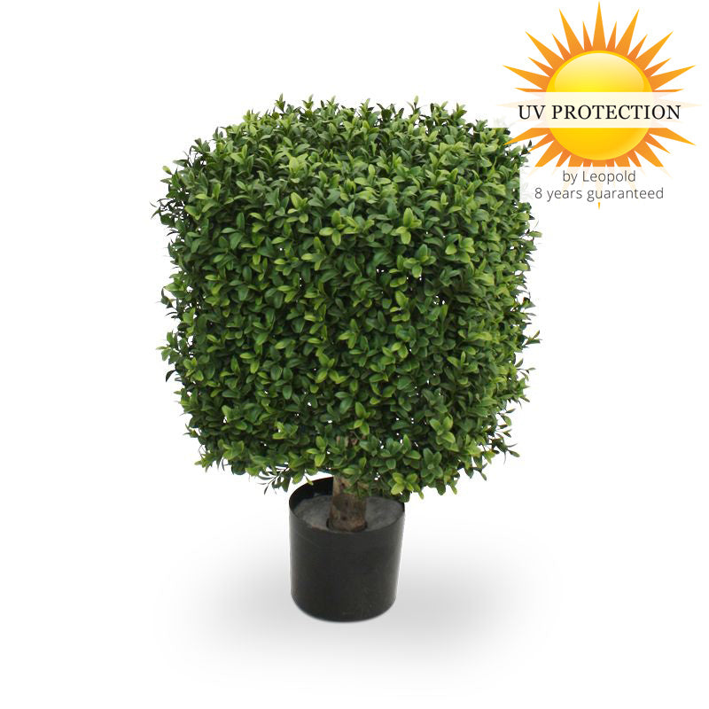 LeopoldFlora UV Buxus Kubus 30 cm