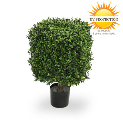 LeopoldFlora UV Buxus Kubus 30 cm