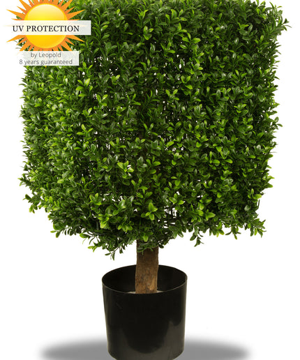 LeopoldFlora UV Buxus Kubus 40 cm